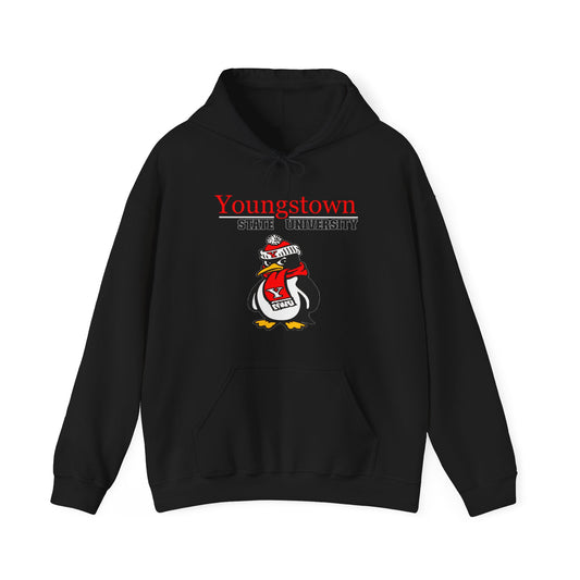 Youngstown Unisex Heavy Blend™ Hooded Sweatshirt